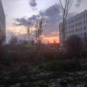 哥哥和妹妹操逼
